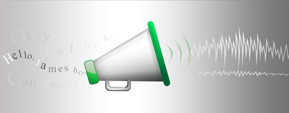 Сколько стоит распознавание голоса в Москве